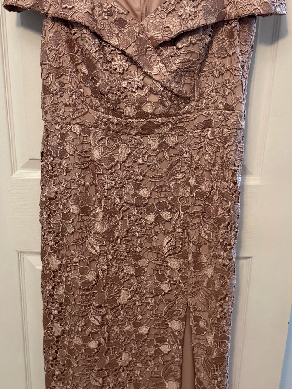 Xscape Blush Pink Floral Lace Gown - Picture 5 of 10